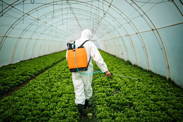 Professional Pest Control in Fairport, NY