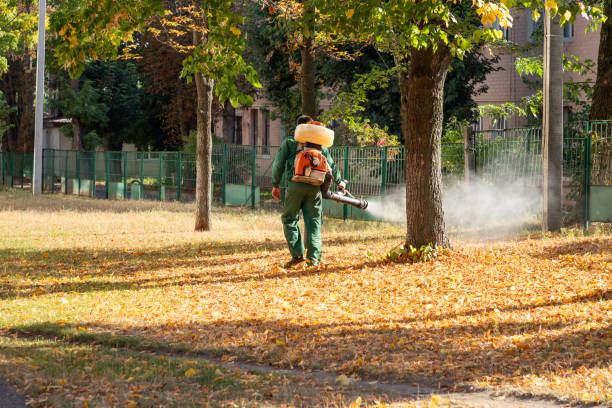 Spider Control Near Me in Fairport, NY